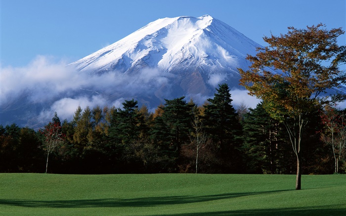 do Japão Monte Fuji, neve, árvores, grama, nevoeiro Papéis de Parede, imagem