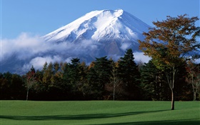 do Japão Monte Fuji, neve, árvores, grama, nevoeiro