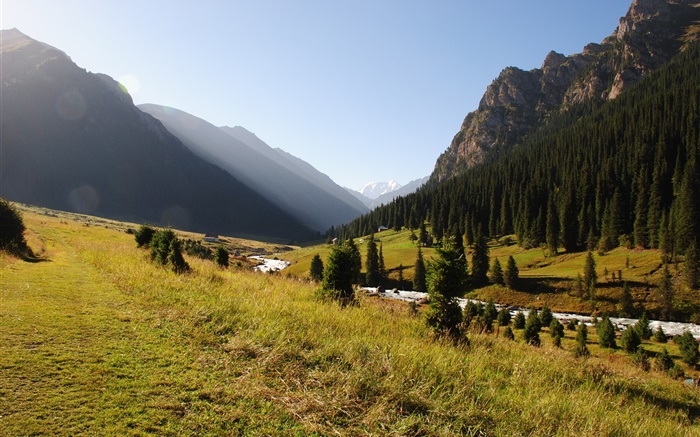 Quirguistão, floresta, árvores, montanhas, manhã, grama, rio Papéis de Parede, imagem