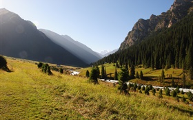 Quirguistão, floresta, árvores, montanhas, manhã, grama, rio