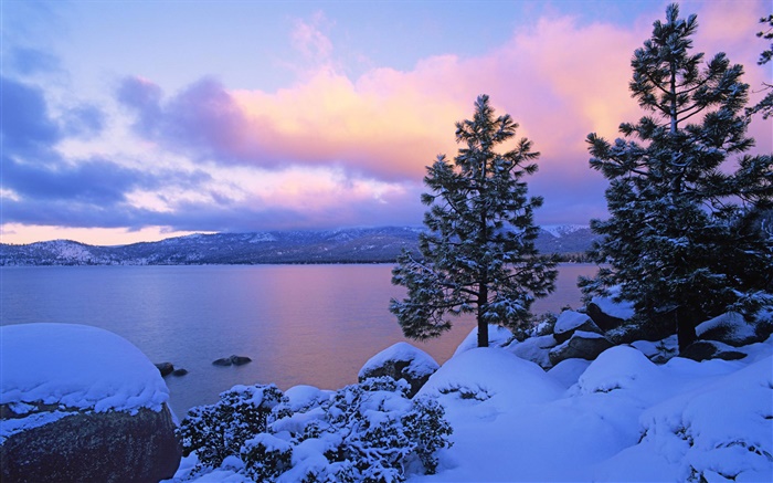 Lake Tahoe, inverno, neve, árvores, crepúsculo, EUA Papéis de Parede, imagem