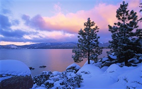 Lake Tahoe, inverno, neve, árvores, crepúsculo, EUA