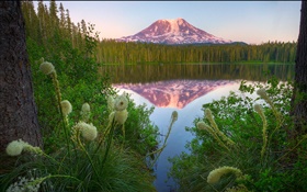 Lago, montanha, grama, árvores, reflexão, alvorecer HD Papéis de Parede