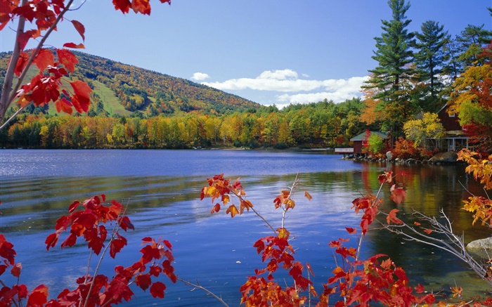 Lago, árvores, casa, outono Papéis de Parede, imagem