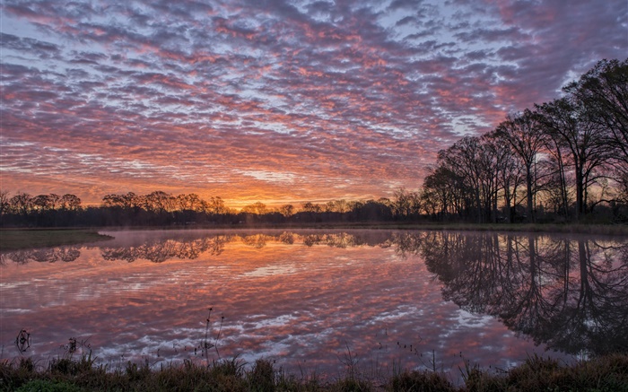 Louisiana EUA, rio, costa, reflexão da água, árvores, nuvens, pôr do sol Papéis de Parede, imagem