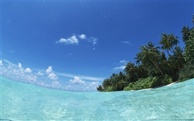 Maldives, mar azul, água, ilha HD Papéis de Parede