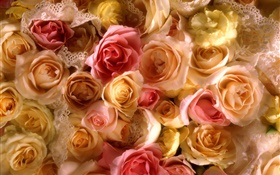Muitas flores cor de rosa, amarelo e rosa