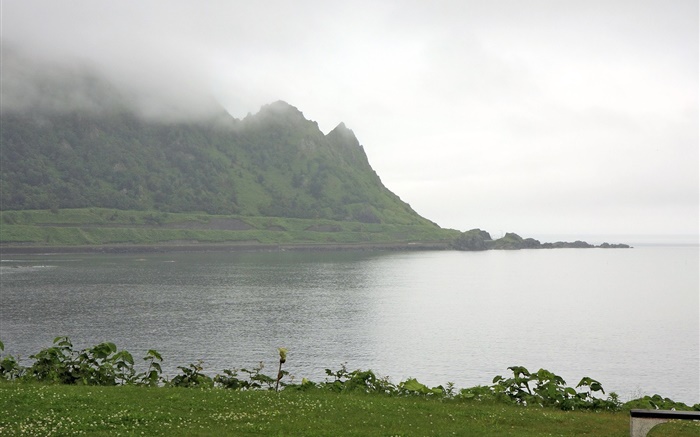 Manhã, névoa, montanhas, mar, costa, grama, Hokkaido, Japão Papéis de Parede, imagem