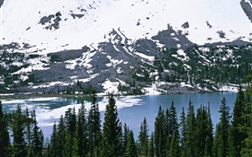 Montanha, neve, rio, árvores HD Papéis de Parede