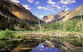 Montanhas, floresta, árvores, lago, reflexão da água HD Papéis de Parede