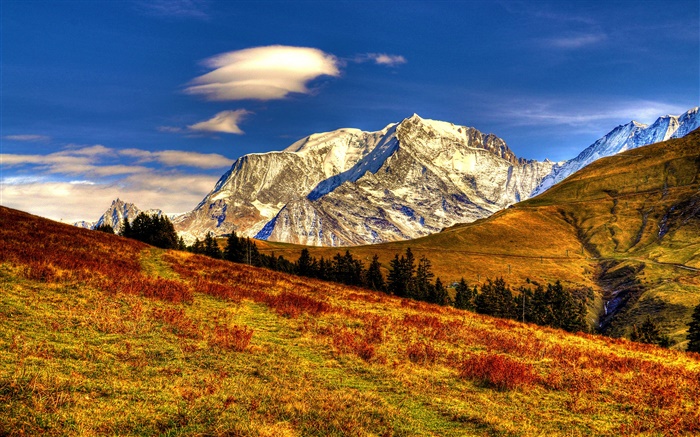 Montanhas, grama, árvores, outono, céu azul Papéis de Parede, imagem