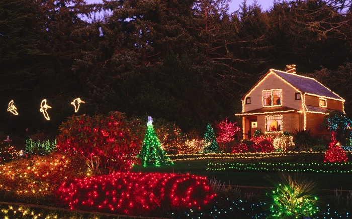 Noite, luzes coloridas, casa, Natal Papéis de Parede, imagem