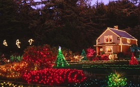 Noite, luzes coloridas, casa, Natal HD Papéis de Parede