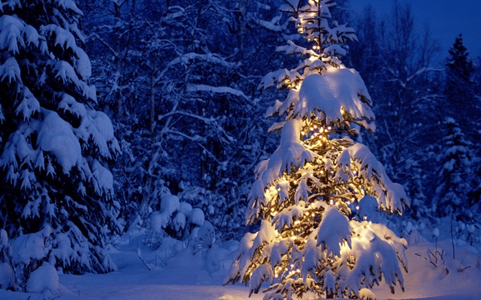 Noite, árvores, luzes, neve espessa, Natal Papéis de Parede, imagem