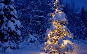 Noite, árvores, luzes, neve espessa, Natal