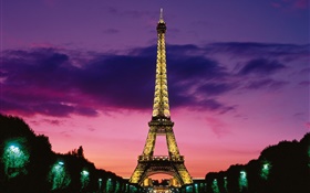 Noite ver a Torre Eiffel, luzes, Paris, França