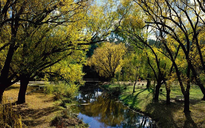 Parque, rio, árvores, Austrália Papéis de Parede, imagem