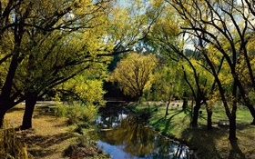 Parque, rio, árvores, Austrália