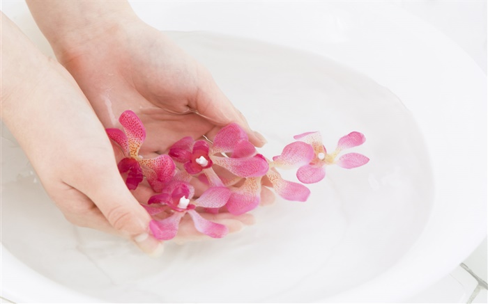 pétalas de flores rosa orquídea, água, mãos Papéis de Parede, imagem