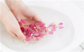 pétalas de flores rosa orquídea, água, mãos HD Papéis de Parede