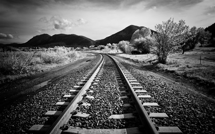 Railway, árvores, montanhas, estilo branco preto Papéis de Parede, imagem