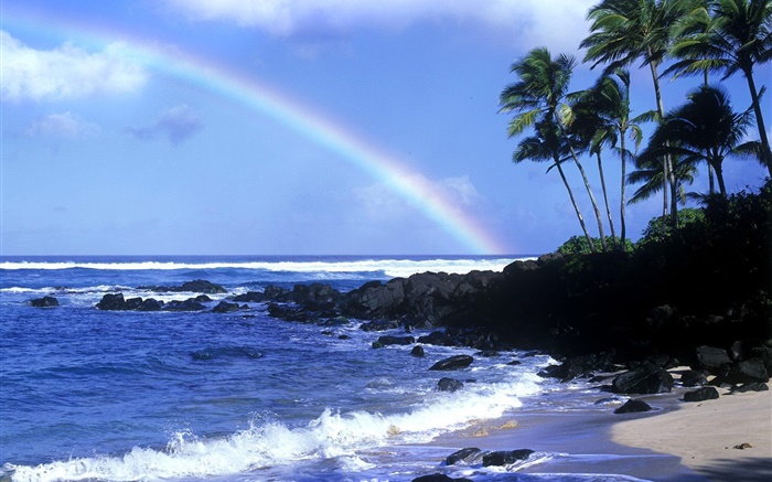 Arco-íris, mar azul, costa, palmeiras, Havaí, EUA Papéis de Parede, imagem