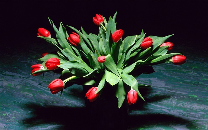 flores vermelhas da tulipa, buquê, vaso Papéis de Parede, imagem