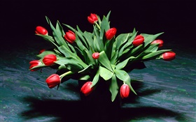 flores vermelhas da tulipa, buquê, vaso HD Papéis de Parede