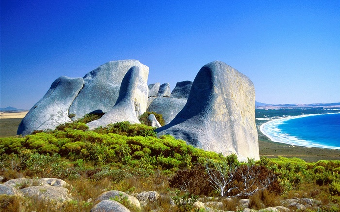 Rochas, grama, costa, mar azul, Austrália Papéis de Parede, imagem