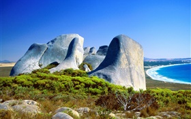 Rochas, grama, costa, mar azul, Austrália