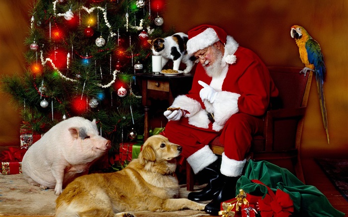 Papai Noel e animais, luzes de Natal Papéis de Parede, imagem