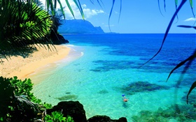Mar, água clara, costa, mergulho, Havaí, EUA