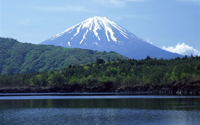 Mar, Floresta, Monte Fuji, Japão Papéis de Parede, imagem