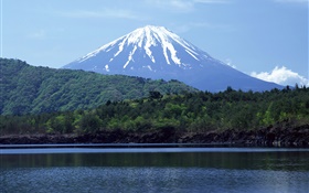 Mar, Floresta, Monte Fuji, Japão HD Papéis de Parede