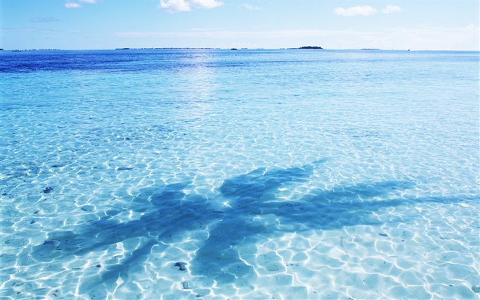 Mar, água azul, brilho, ondas, sombras, Maldivas Papéis de Parede, imagem