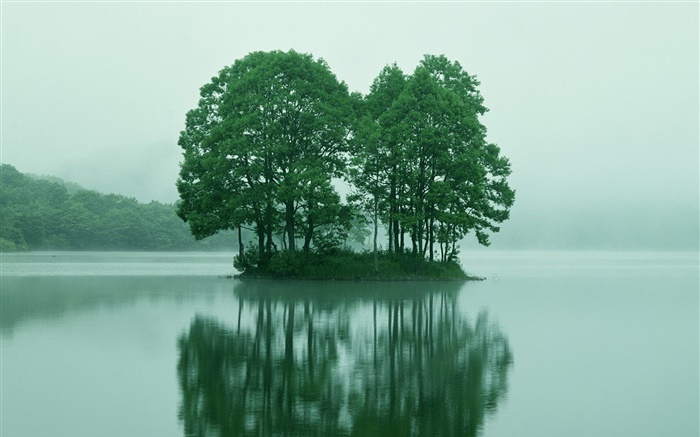 Pequena ilha no centro do lago, árvores, Tóquio, Japão Papéis de Parede, imagem