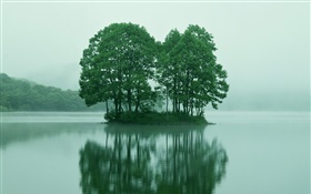 Pequena ilha no centro do lago, árvores, Tóquio, Japão