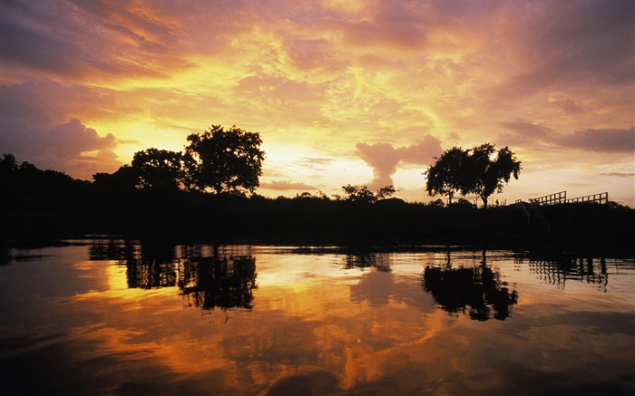 Pôr do sol sobre a floresta, lago, Guiana Papéis de Parede, imagem