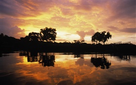 Pôr do sol sobre a floresta, lago, Guiana HD Papéis de Parede