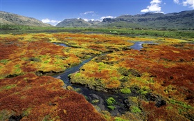 Pântano, montanhas, grama, cenário da natureza HD Papéis de Parede