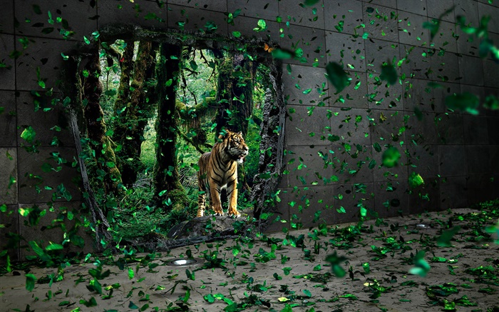 Tiger na floresta, folhas verdes voando, imagens criativas Papéis de Parede, imagem