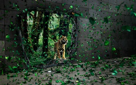 Tiger na floresta, folhas verdes voando, imagens criativas HD Papéis de Parede