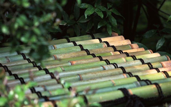 Tóquio, Japão, jangada de bambu Papéis de Parede, imagem