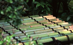 Tóquio, Japão, jangada de bambu