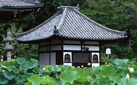 Tóquio, Japão, jardim, templo, lago de lótus HD Papéis de Parede