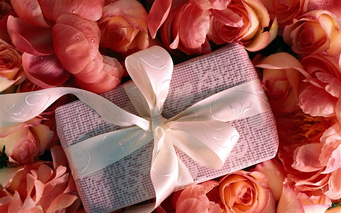 dom Dia dos Namorados, flores rosa Papéis de Parede, imagem