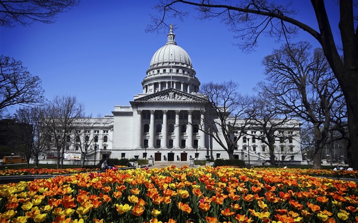 Washington, Madison, EUA, construção, parque, flores Papéis de Parede, imagem
