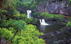 Cachoeiras, angra, água, rochas, plantas, Havaí, EUA HD Papéis de Parede