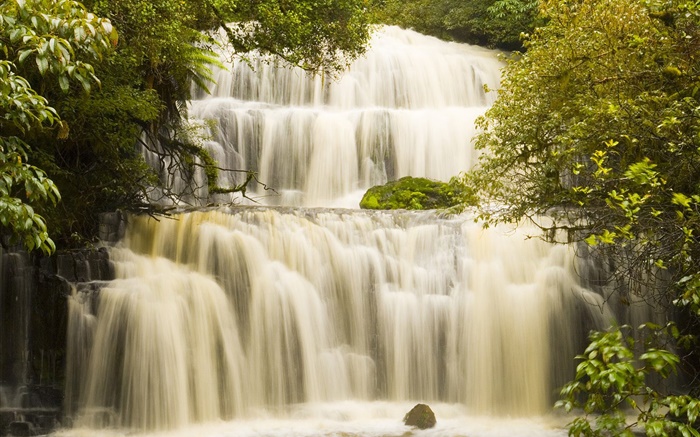 Cachoeiras, árvores Papéis de Parede, imagem
