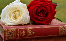 Branco e vermelho flores cor de rosa, livro